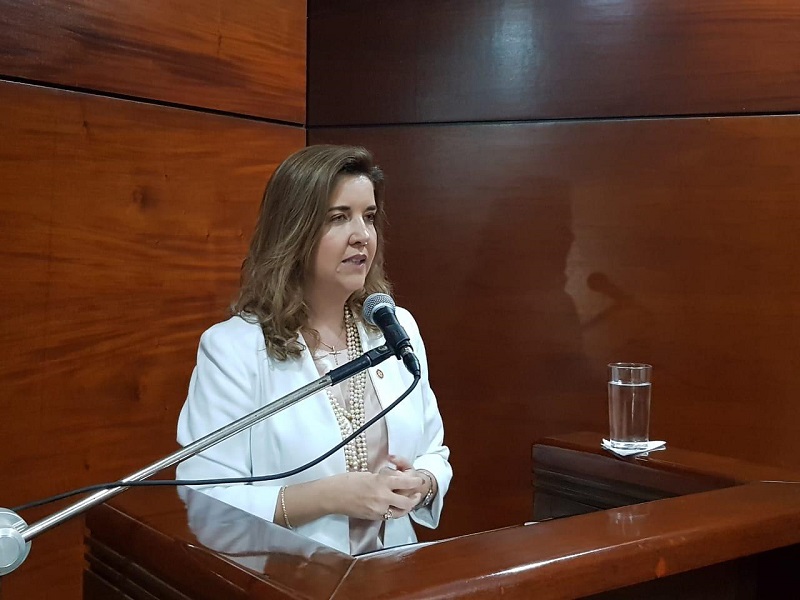 Ex-vice presidente da OAB, no DF, Daniela Teixeira já foi a mais votada para vaga no TSE, mas foi preterida por Bolsonaro - Foto: Gazeta do Povo